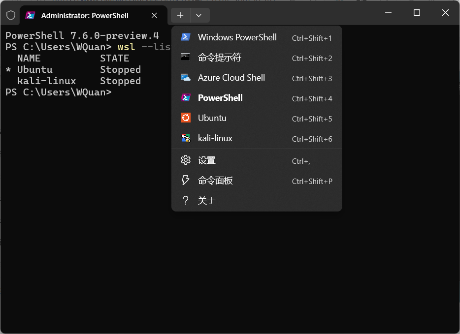 image-20250816171208459